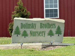 Dolinsky